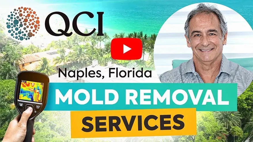 Watch Video: QCI Mold Removal Services Watch Video: QCI Mold Removal Services
